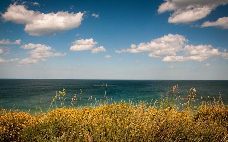 AI Agents vs. Chatbots: Why Your Business Needs Autonomous Workflows in 2026