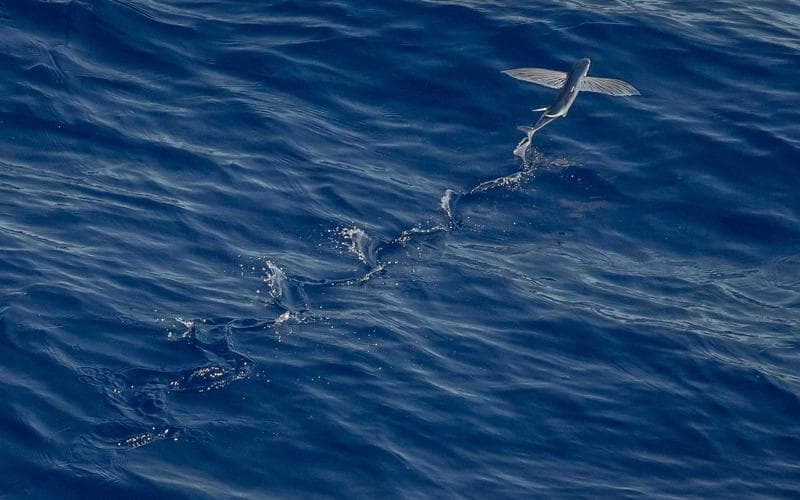 B2B Programmatic Advertising: Target Decision Makers (2026)