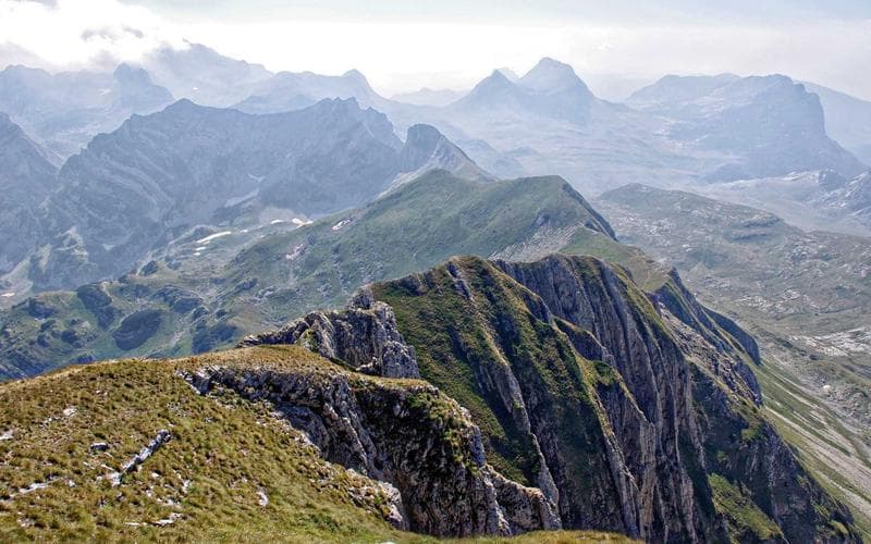 Case Study: 58% CAGR Through Tech Innovation (2026)