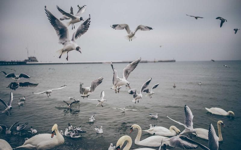 From ROAS to pLTV: The 2026 Shift in Performance Marketing