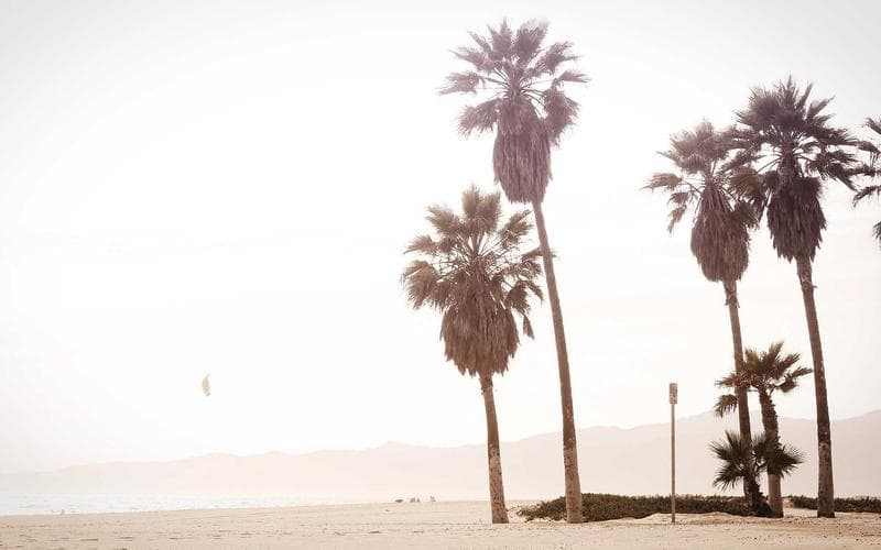 The Rise of 'Green Code': Reducing Server Costs & Carbon Footprints