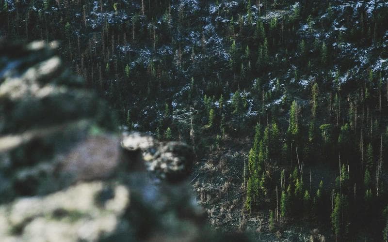 Hire the Right MERN Developer for Your Startup (2026)