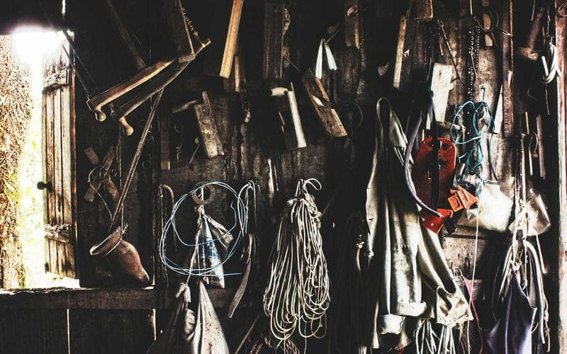 Next.js 15 vs. React 19: Which to Choose for Your 2026 Enterprise Portal?