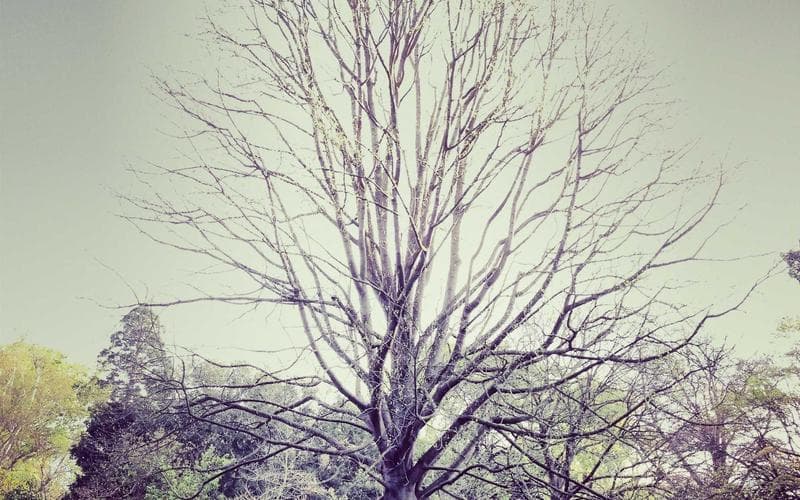 Predictive Maintenance in Manufacturing: IoT & AI Agents for Zero Downtime