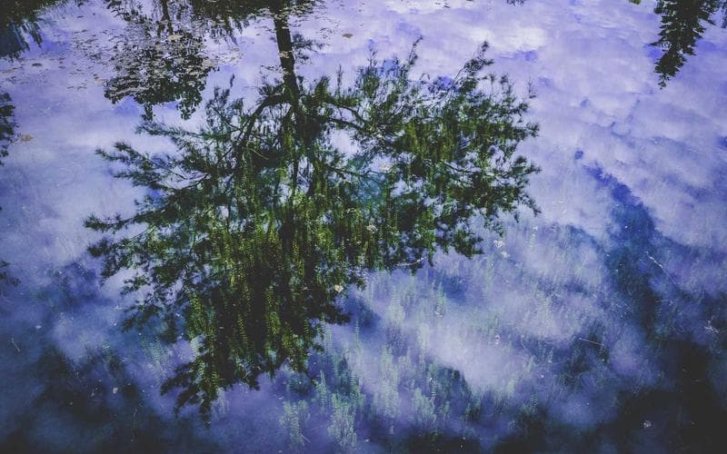 Predictive SEO: Forecasting Keyword Trends