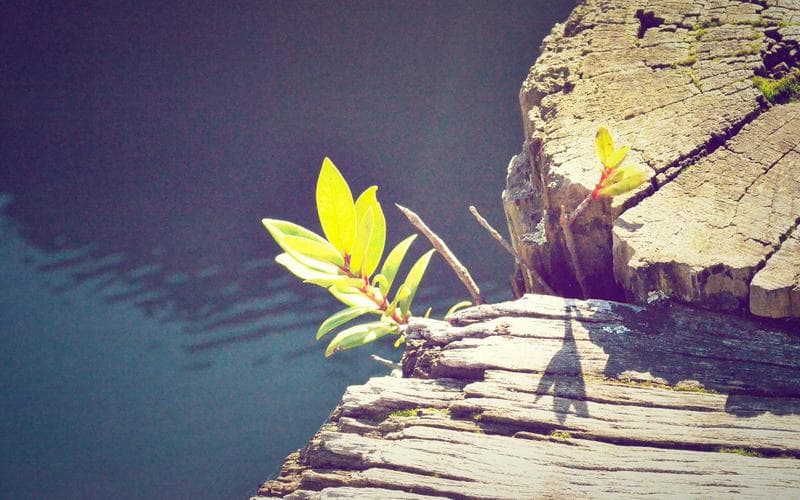 Real Estate Tokenization in India: 2026 Investment Guide