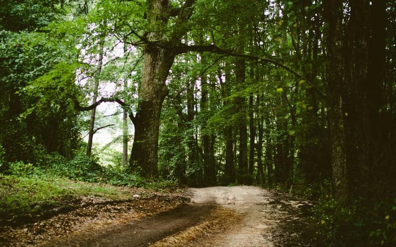 The ROI of Website Maintenance in 2026 | Induji