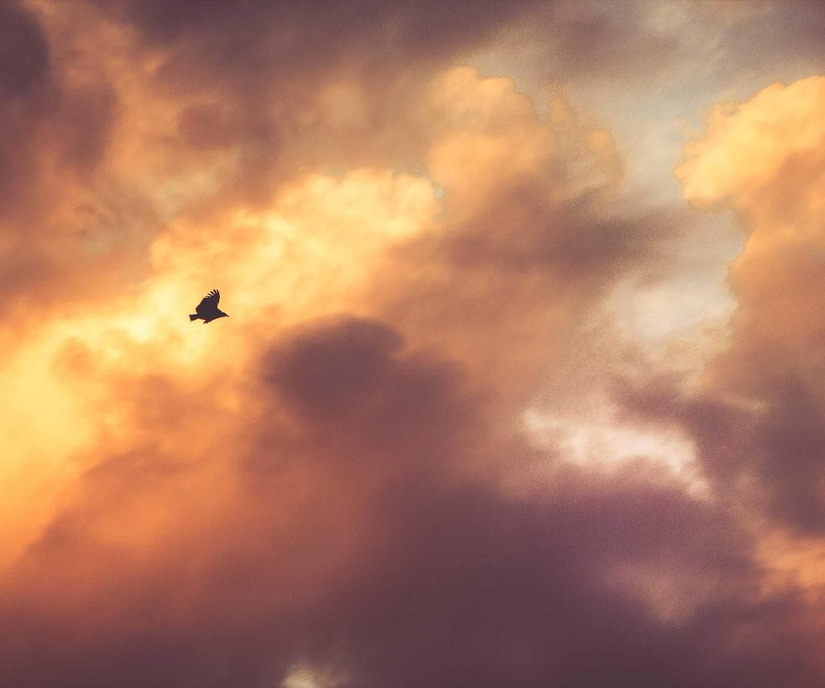 Induji Technologies Innovation Hub