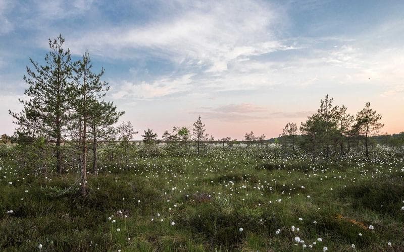 Web3 Social Media: The End of User Passwords (2026)