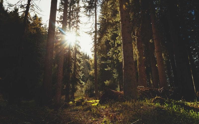 Build a White-Label Crypto Exchange in India (2026)